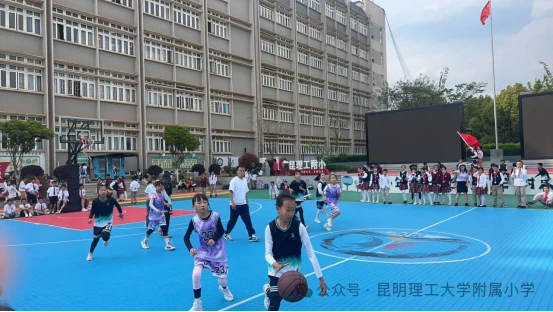哪里有针对青少年的篮球声誉培养计划_1
